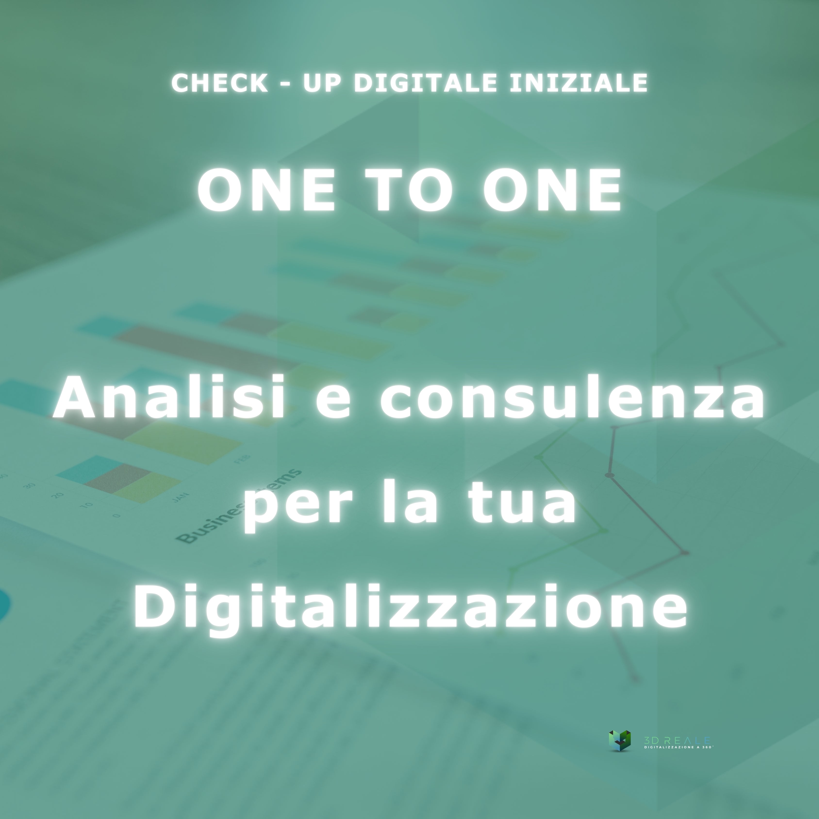 ONEtoONE_CHECK - UP DIGITALE INIZIALE: Analisi e Consulenza per la Tua Digitalizzazione!